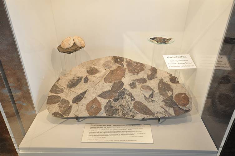 Braunkohlekraftwerk Lippendorf010