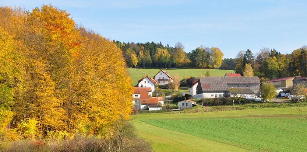 Golderner-Oktober in Hainbronn018