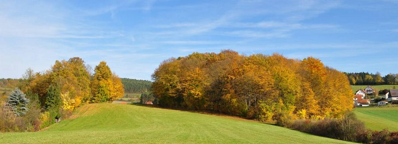 Golderner-Oktober in Hainbronn020
