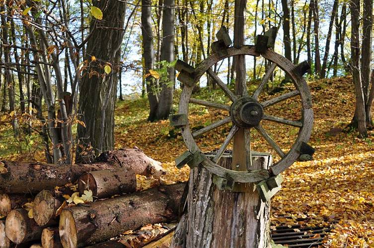 Golderner-Oktober in Hainbronn024