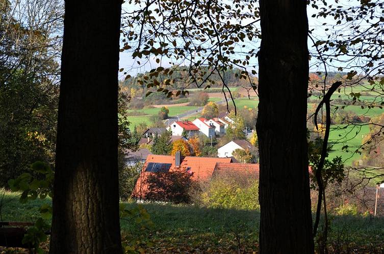 Golderner-Oktober in Hainbronn026