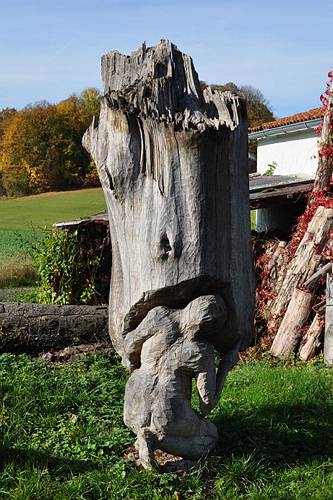 Golderner-Oktober in Hainbronn030