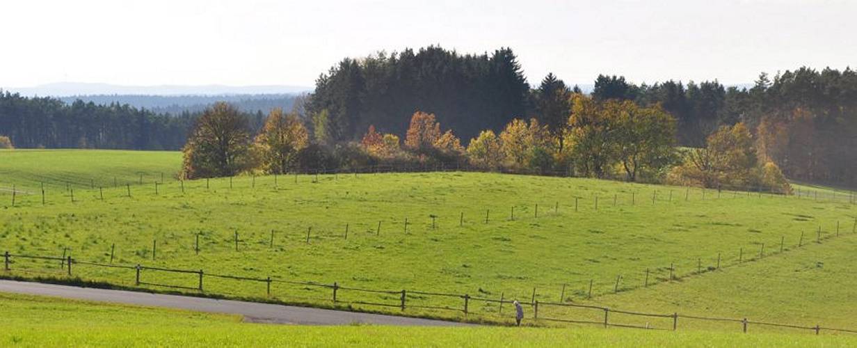 Golderner-Oktober in Hainbronn036