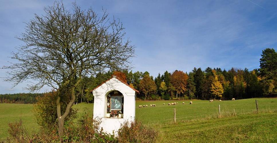 Golderner-Oktober in Hainbronn040