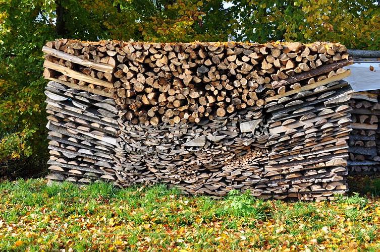 Golderner-Oktober in Hainbronn042