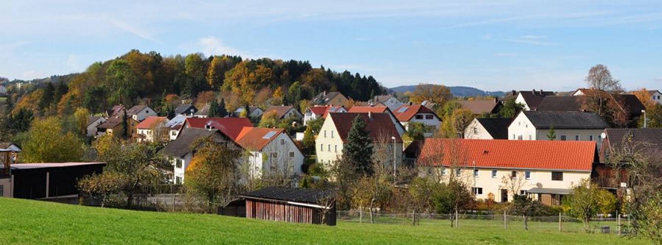 Golderner-Oktober in Hainbronn050