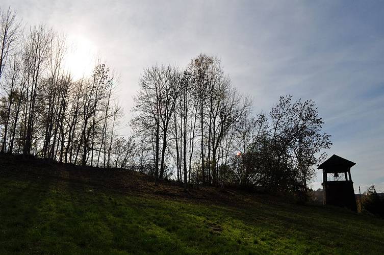 Golderner-Oktober in Hainbronn052