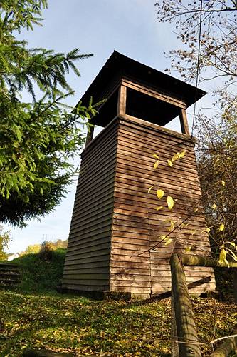 Golderner-Oktober in Hainbronn055