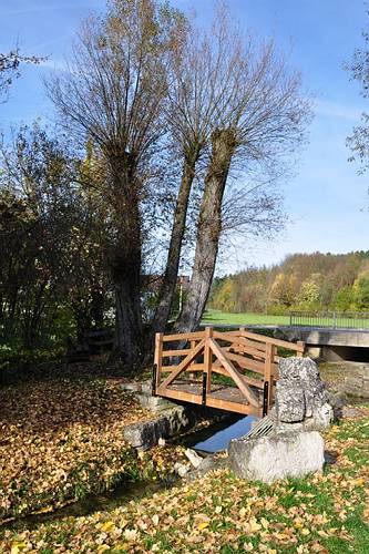Golderner-Oktober in Hainbronn056