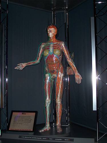 196