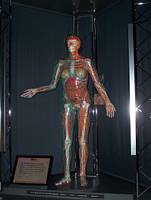 <%=FWT_IPTC120%>
