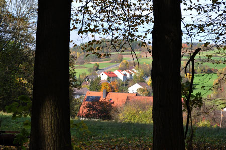 Blick auf den herbstlich gef�rbten Eschenweg in Hainbronn