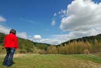 Magerwiese am Hainberg bei Hainbronn