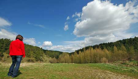 Magerwiese am Hainberg bei Hainbronn