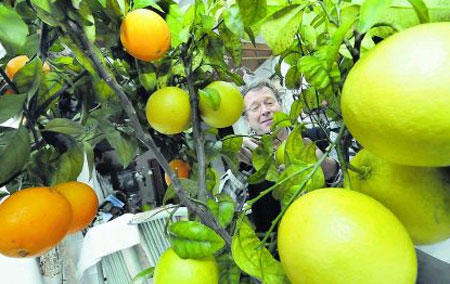 Reinhard Loyall in seinem Wintergarten. Quelle: Nordbayerische Nachrichten