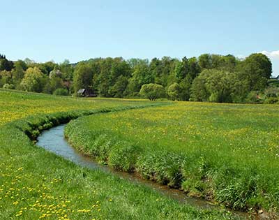 Die Fichtenohe an der \"Alten Stra�e\" bei Hainbronn