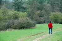 Sch�tzenswerte Natur am Hainberg in Hainbronn