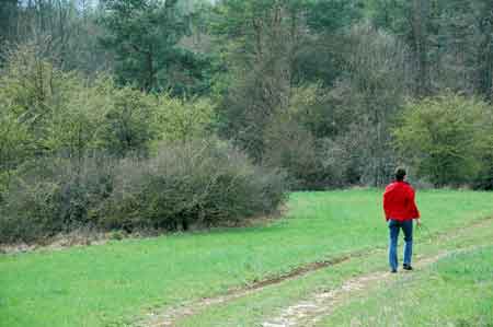 Schützenswerte Natur am Hainberg in Hainbronn Schützenswerte Natur am Hainberg in Hainbronn