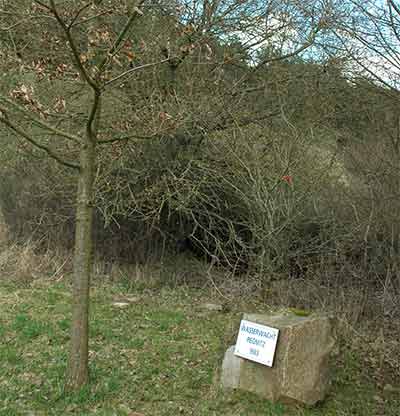 Das Wasserwachtdenkmal in Hainbronn